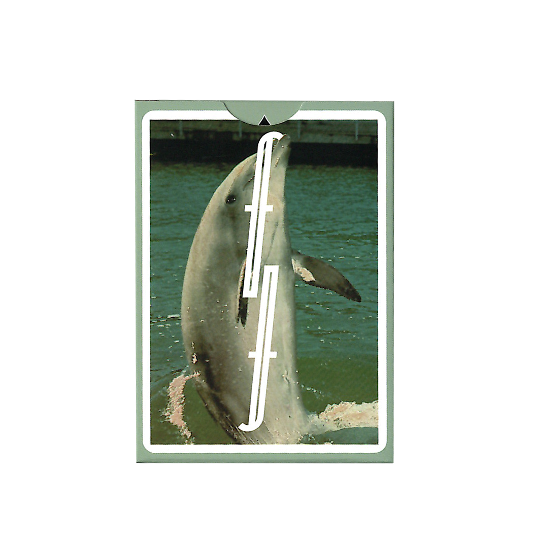 Flipper Fontaine