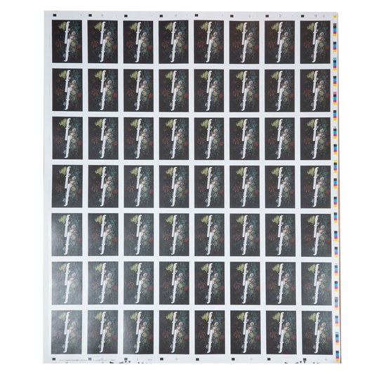 Floral Uncut Sheet