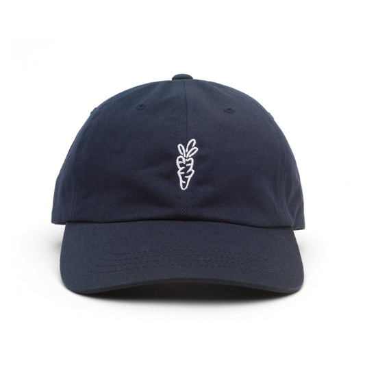 Carrots Navy Hat